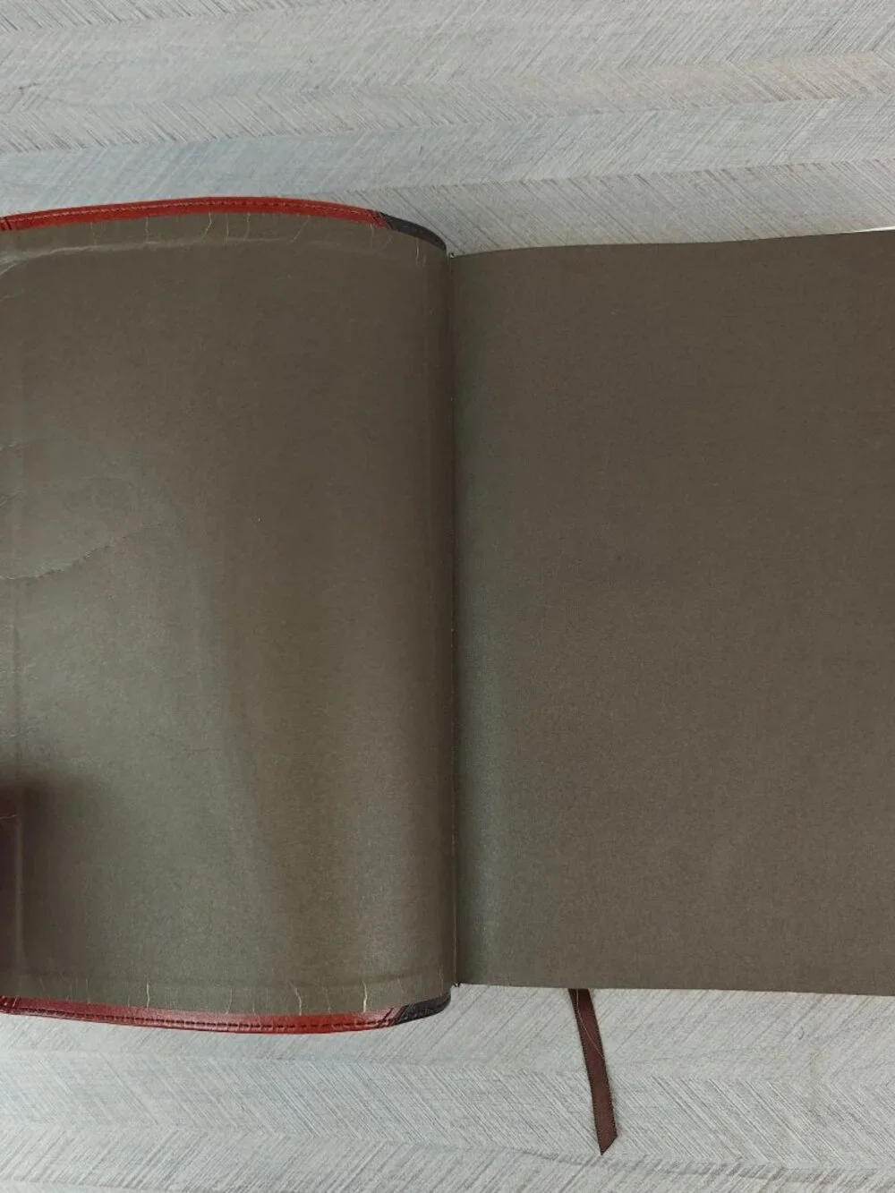 Holman Rainbow Study Bible NIV Edition 2015 Cocoa Terra Cotta LeatherTouch